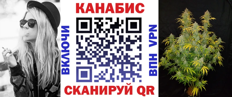 где можно купить наркотик  Елизаветинская  Шишки марихуана Ganja 